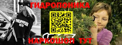 сатива Гагарин