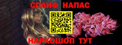 сатива Гагарин