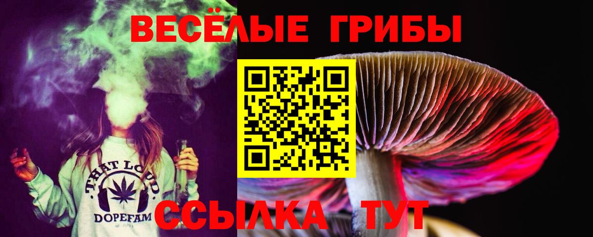хочу   Вход с VPN  Сибай  Галлюциногенные грибы прущие грибы 