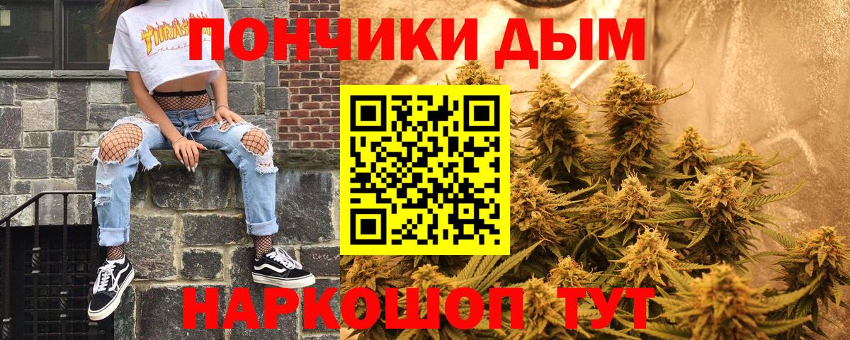 Бошки Шишки гибрид Сибай